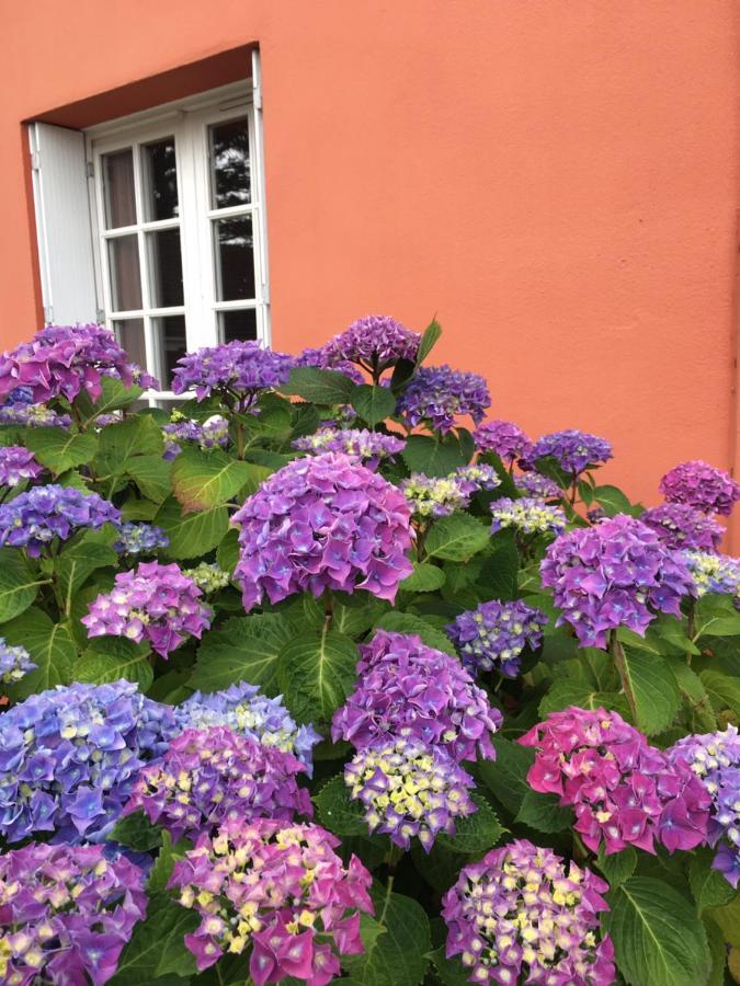 Hotel La Belle Etoile Thouare-sur-Loire Exterior photo